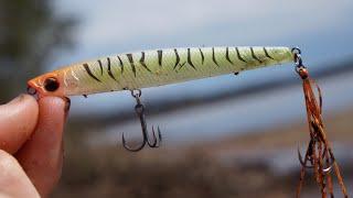 This Little Surface Lure Saved The Day!