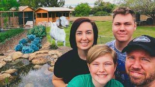 Family builds MINIATURE FARM & GROWS FOOD in their BACKYARD 