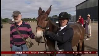 Wallace the dressage... mule - wins! (England) - BBC News - 24th July 2018