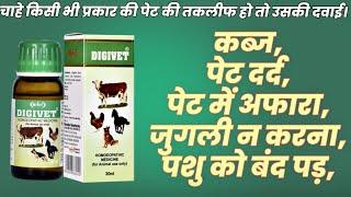 पेट में अफारा , पेट दर्द , कब्ज , भूख न लगना या पशु को बंद पड़ना। Hivit Digivet Plus homoeopathy ।