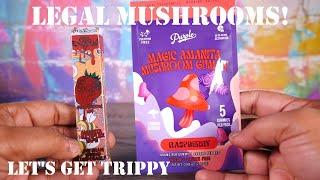 Legal Mushrooms?!?! Purple Amanita Mushroom Gummy Review! VapingwithTwisted420