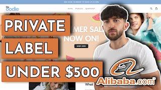 How to Start an ECommerce Business with No Money 2021