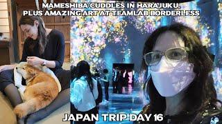 Mameshiba cuddles in Harajuku, plus amazing immersive art at teamLab Borderless! - Japan Trip Day 16