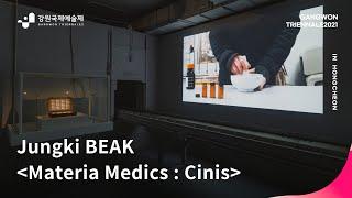 [REVITALIZATION 1. TANYAK] Jungki BEAK_Materia Medica: Cinis