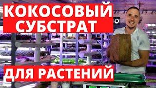 Кокосовый субстрат для растений Микрозелень Рассада Буферизация как замочить кокосовый субстрат