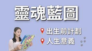 靈魂目的及人生藍圖｜你相信出生前計劃嗎？若被設定好那生命意義是什麼？｜艾波外出中X身心靈平衡