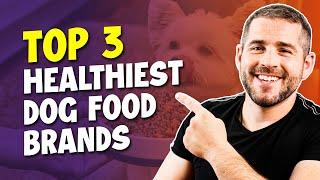 Best Healthy Dog Food For 2024