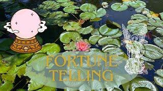 Fortune Telling  lenormand and tarot pick a card 