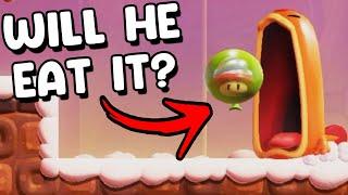 I Busted 180 Myths In Super Mario Bros Wonder! (Ultimate Compilation)