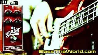 AGUILAR OCTAMIZER BASS DEMO | BassTheWorld.com