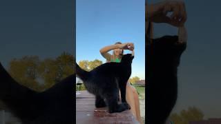 Деревня для избалованных горожан #отдых #отдыхнаприроде