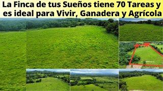 Finca de 70 Tareas para Vivir Descansar y Botar el Estrés Ideal para la Ganadería y Agricultura