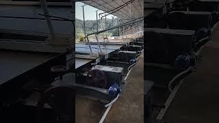 Gold ore dressing equipment, gold separation shaking table#goldselectionshaker #goldminer   #machine