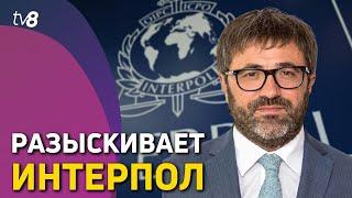 Разыскивает интерпол. Владимир Андронаки объявлен в международный розыск