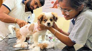 Jojo ki hair cutting karwadi 