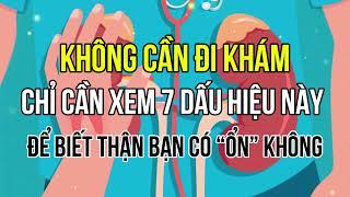 Không Cần Đi Khám – Chỉ Cần Xem 7 Dấu Hiệu Này Để Biết Thận Bạn Có “Ổn” Không