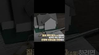 전세사기 이번엔 임대인이 당했다 #전세사기 #전세금반환 #부동산교육