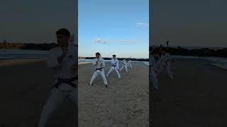 Saifa Kata Goju Ryu. #karate #空手 #kata #goju #beach #קאטה #קראטה