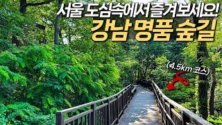 서울 강남에 이런곳이? 3개의 공원을 연결하는 4.5km 아름다운 숲길 트레킹 코스 | 대중교통 국내여행 | 당일치기 여행 | 서울