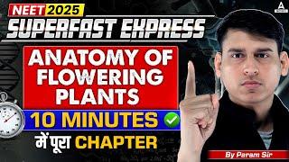 Anatomy of Flowering Plants Class 11 ONE SHOT | Complete Chapter in 10 Min | Quick Revision