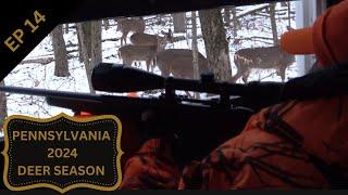 2024 Opening Day PA. Firearms Season(Record breaking Deer Numbers)