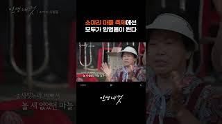 음정 박자 따윈 중요하지 않은 '소야리 마을 축제'  #shorts #mbc충북  #충북 #청주 #단양군 #소야리마을 #농촌