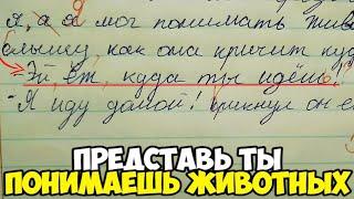 Проверяю рабочие тетради по русскому языку 4 класс