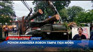 Pohon Angsana Roboh Timpa Tiga Mobil | LIVE TRIBUN JATENG UPDATE