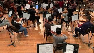 'Humoresque' by the AMR String Class of 2021 Agincourt Collegiate Institute