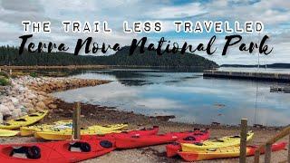 A day in Terra Nova National Park