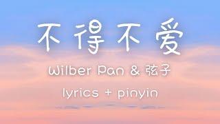 [lyrics/pinyin/engsub]《不得不爱》- Wilber Pan & 弦子 [bu de bu ai]