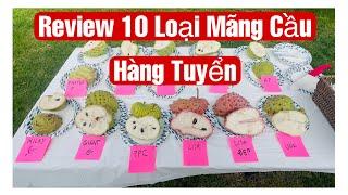 Review 10 Loại Mãng Cầu Hàng Tuyển Rất Ngon ||MÂY XANH || Video75