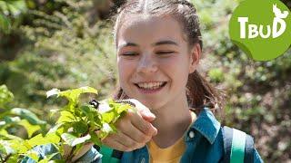 Adlerschwingen (Folge 84) | Tiere bis unters Dach | SWR Plus