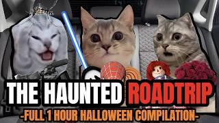 Cat MEMES: THE HAUNTED ROADTRIP FULL 1 HOUR HALLOWEEN COMPILATION