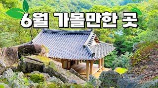 우리나라에 이런 곳이 있었어? 6월에 가면 좋은 가장 한국적인 여행지 소개해 드릴게요. 잘 알려지지 않은 곳이라 서둘러 가보세요!