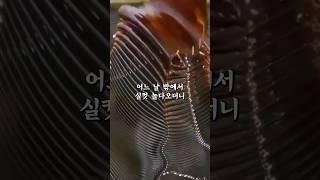 똑똑한 듯 멍청한 수진이