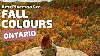 5 Best Places in Ontario to See Fall Colours