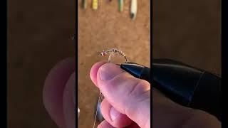 Little gold ribbed nymph for grayling and trout! #shorts #fishingshorts #flytying #troutflies