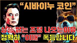 시바이누코인 상승도 없었는데 계속떨어진다!!!? 정확히 상승하는 시기..!! 공개합니다!