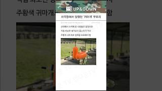 사격장에서 당했던 '귀마개' 부조리