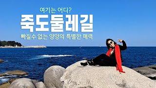 양양여행 꼭 들려볼곳/죽도암/죽도 전망대/ 죽도정/ 부채바위/강원도 여행/인구해변/ 죽도해변