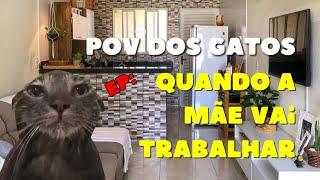 POV dos gatos: quando minha mãe sai pra trabalhar