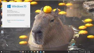 Windows 10 Capybara Edition