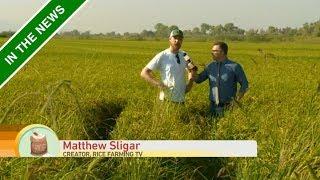 Talking Rice! | Good Day Sacramento on CW31
