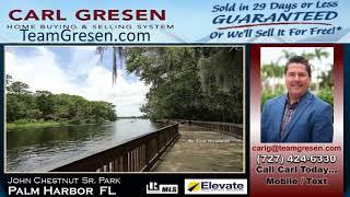 Who is the best Realtor in Palm Harbor Florida to sell my house?