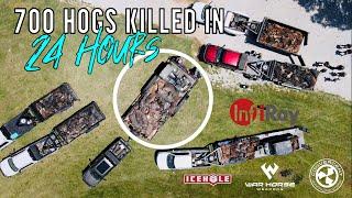 Over 700 Hogs Killed | Kill'EmAll Hog Contest (2022)