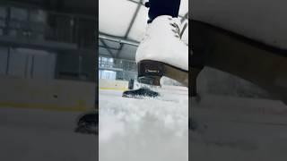 Are you team Risport or not? #figureskating #iceskating #figureskater #iceskater #iceskate #icerink