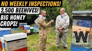 How To Manage Thousands Of Beehives With David Wainwright. Wainwrights Bee Farm