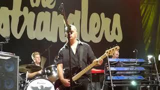 The Stranglers - Golden Brown