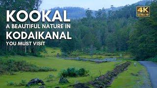 Kookal | Kodaikanal | Drive to a Beautiful Forest & Nature | Vlog#63